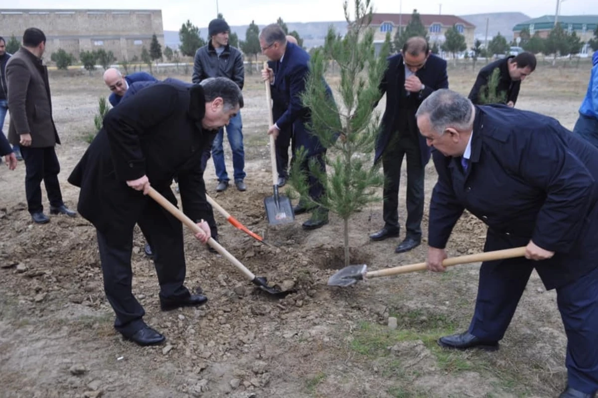 Yeni icra başçısı “lapatka” götürüb işə başladı - FOTO