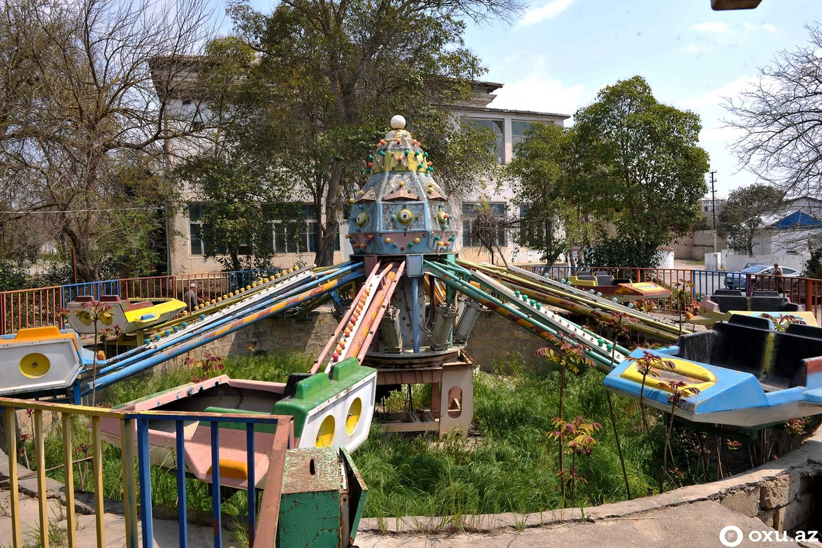 “Luna Park”da ağaclar kütləvi şəkildə kəsilir - FOTO