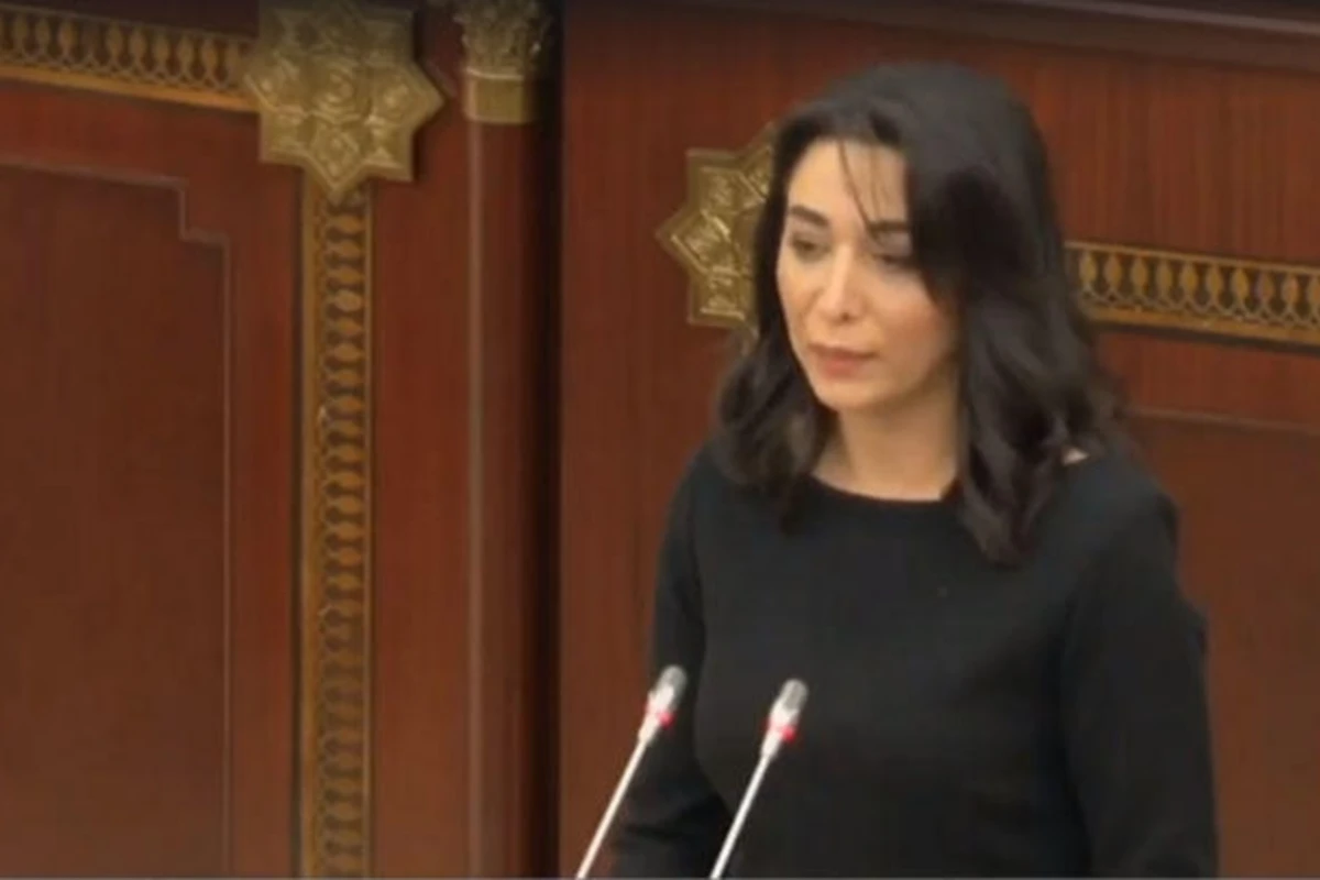 Ombudsman Tovuzda azyaşlının qətli ilə bağlı Baş prokurora müraciət edib Ombudsman Tovuzda azyaşlının qətli ilə bağlı Baş prokurora müraciət edib