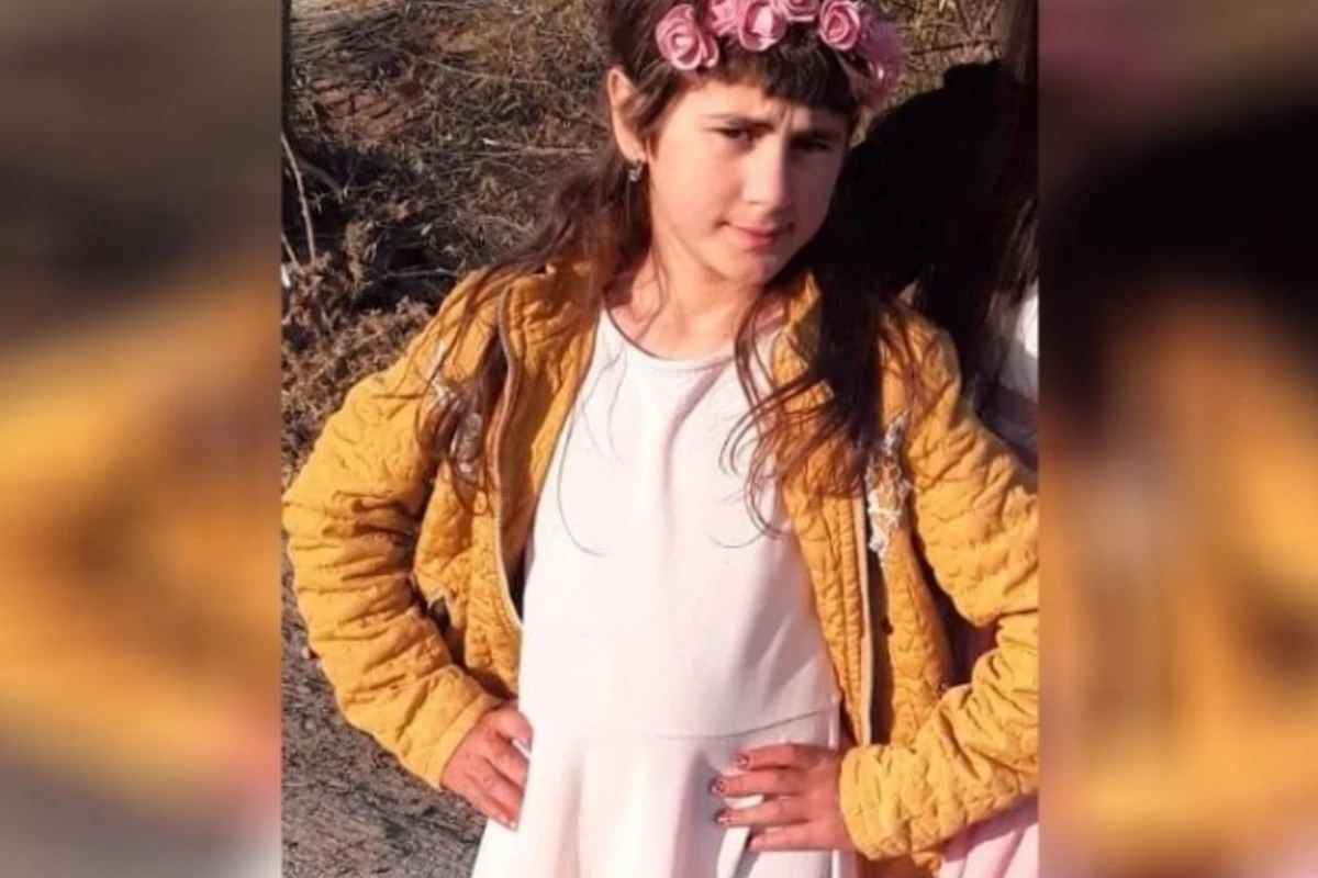 Генпрокуратура обратилась к СМИ в связи с убийством 10-летней Нармин