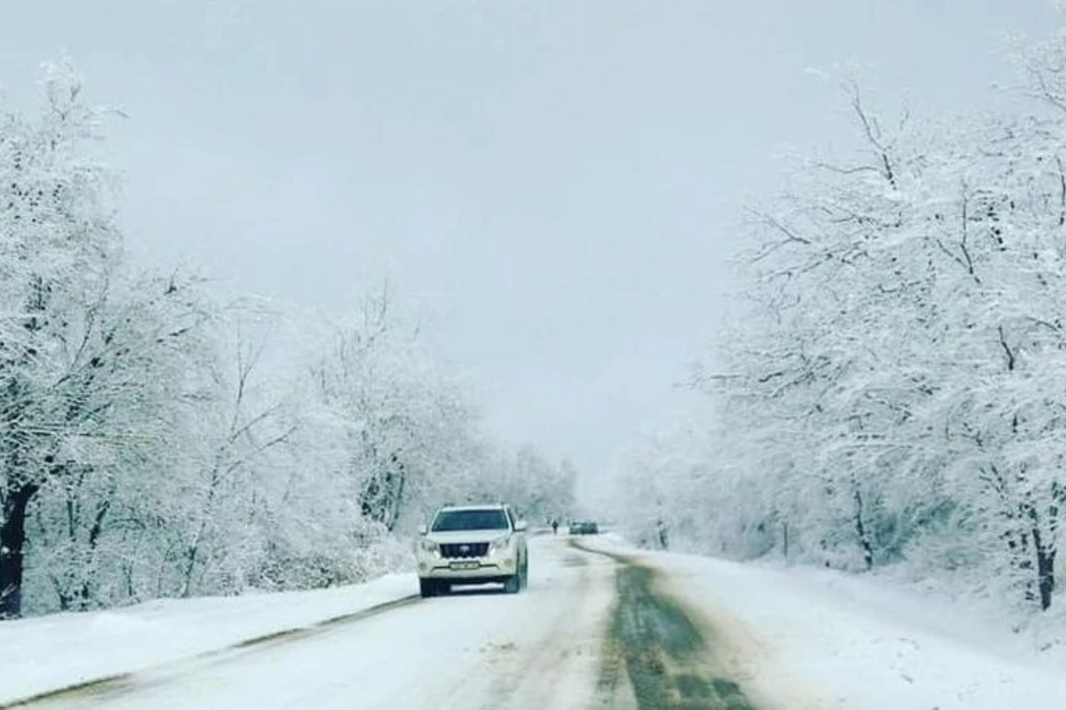 Bazar gününün hava proqnozu