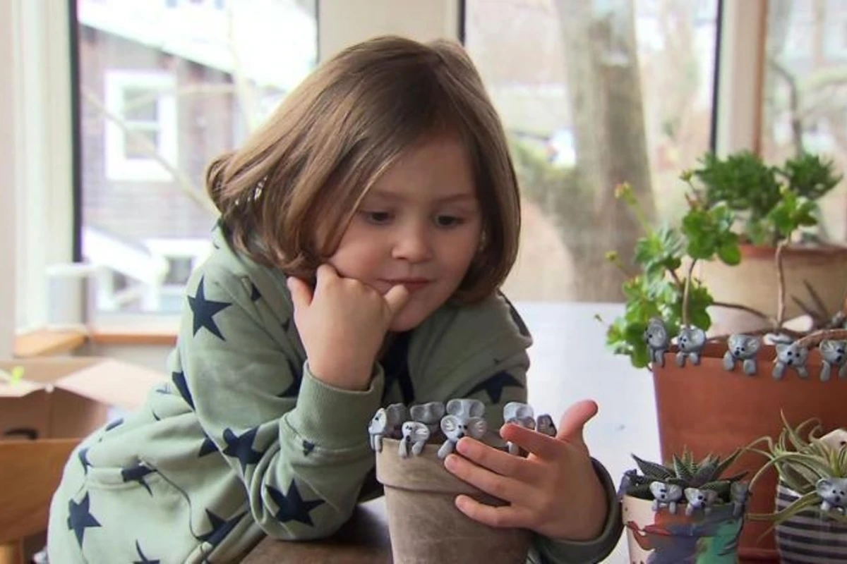 6-летний мальчик собрал 200 тысяч долларов для спасения животных Австралии