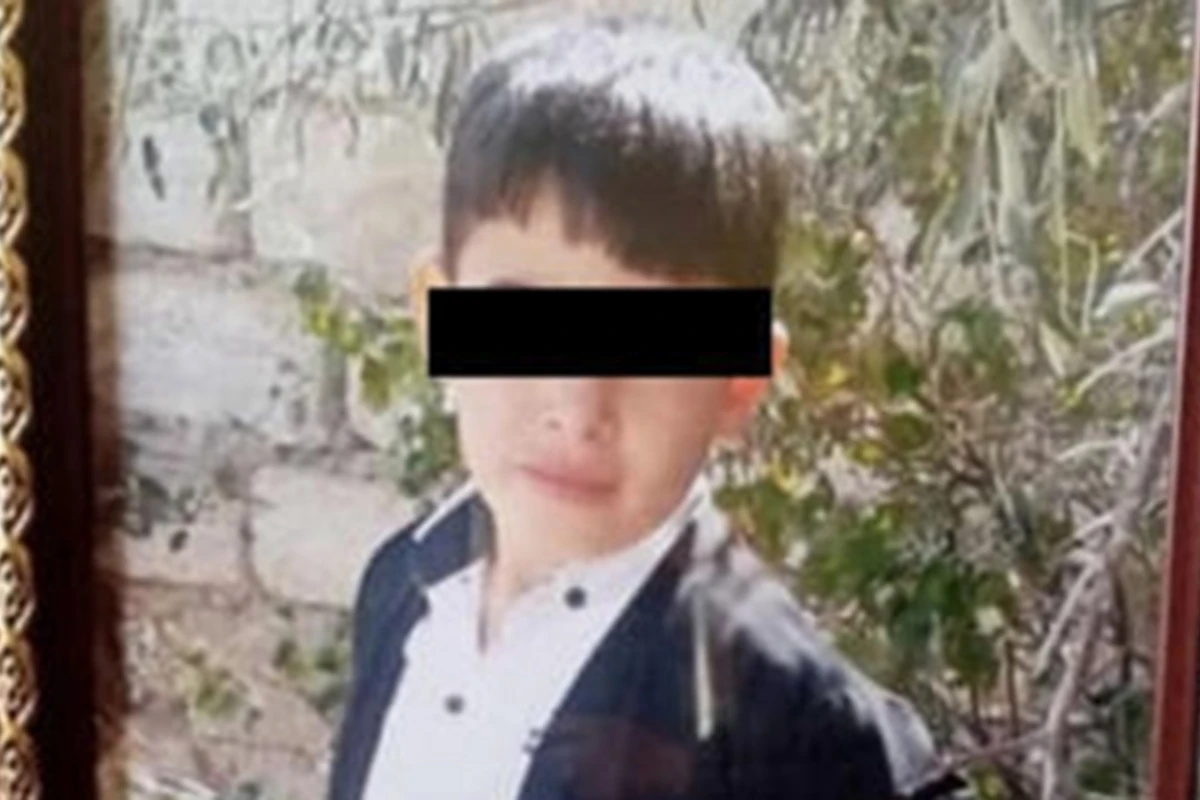 Bakıda küçə iti dişləyən 4-cü sinif şagirdi öldü - FOTO Bakıda küçə iti dişləyən 4-cü sinif şagirdi öldü - FOTO
