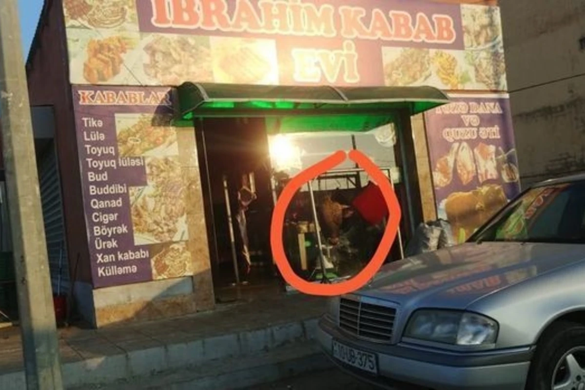 Bakıda qanunsuz fəaliyyət göstərən heyvan kəsimi məntəqəsi bağlandı