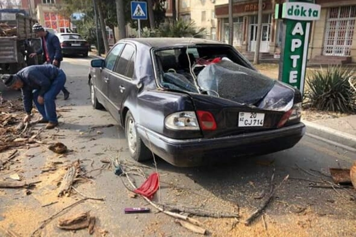 Gəncədə yağış qarışıq güclü külək bir sıra fəsadlara yol açdı - FOTO Gəncədə yağış qarışıq güclü külək bir sıra fəsadlara yol açdı - FOTO