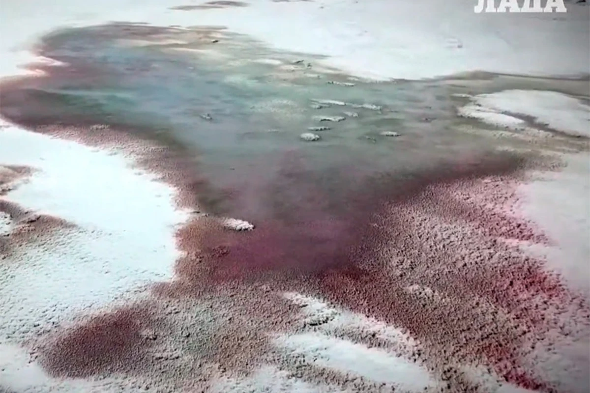 Побережье Каспия окрасилось в кровавый цвет - ВИДЕО