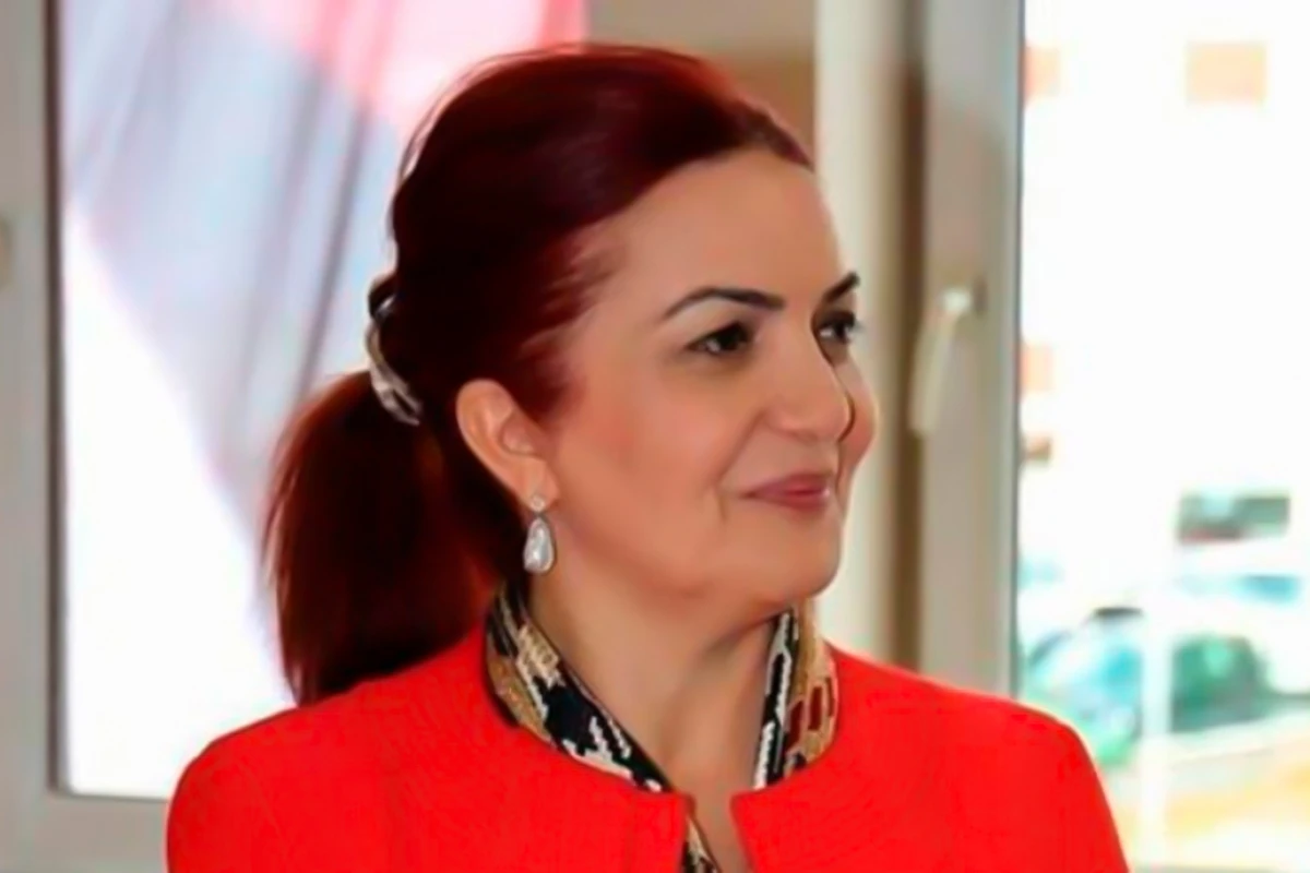 Aygün Attarın akkreditasiyası ləğv edildi