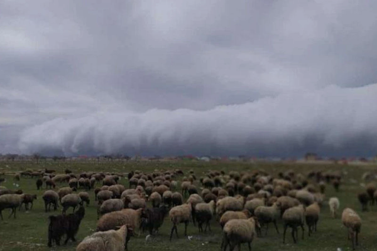 Bakı səmasında QƏRİBƏ HADİSƏ - Sunamiyə bənzəyir - REAL FOTOLAR