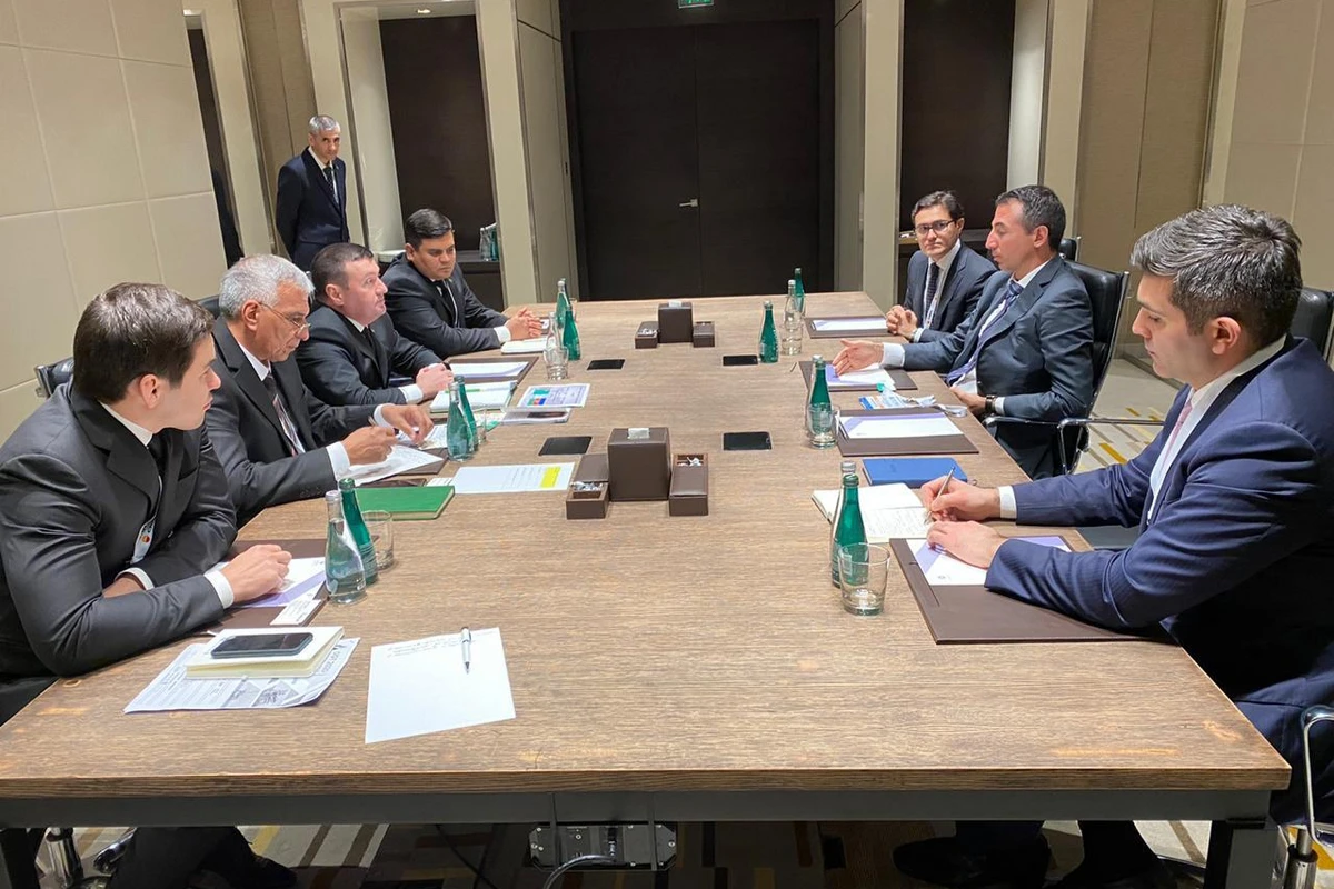 SOCAR совместно с туркменской компанией NAPECO могут создать СП