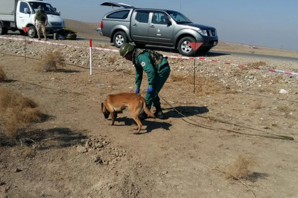 Göygöldə mebel evinin yaxınlığında top mərmisi aşkarlanıb - FOTO Göygöldə mebel evinin yaxınlığında top mərmisi aşkarlanıb - FOTO