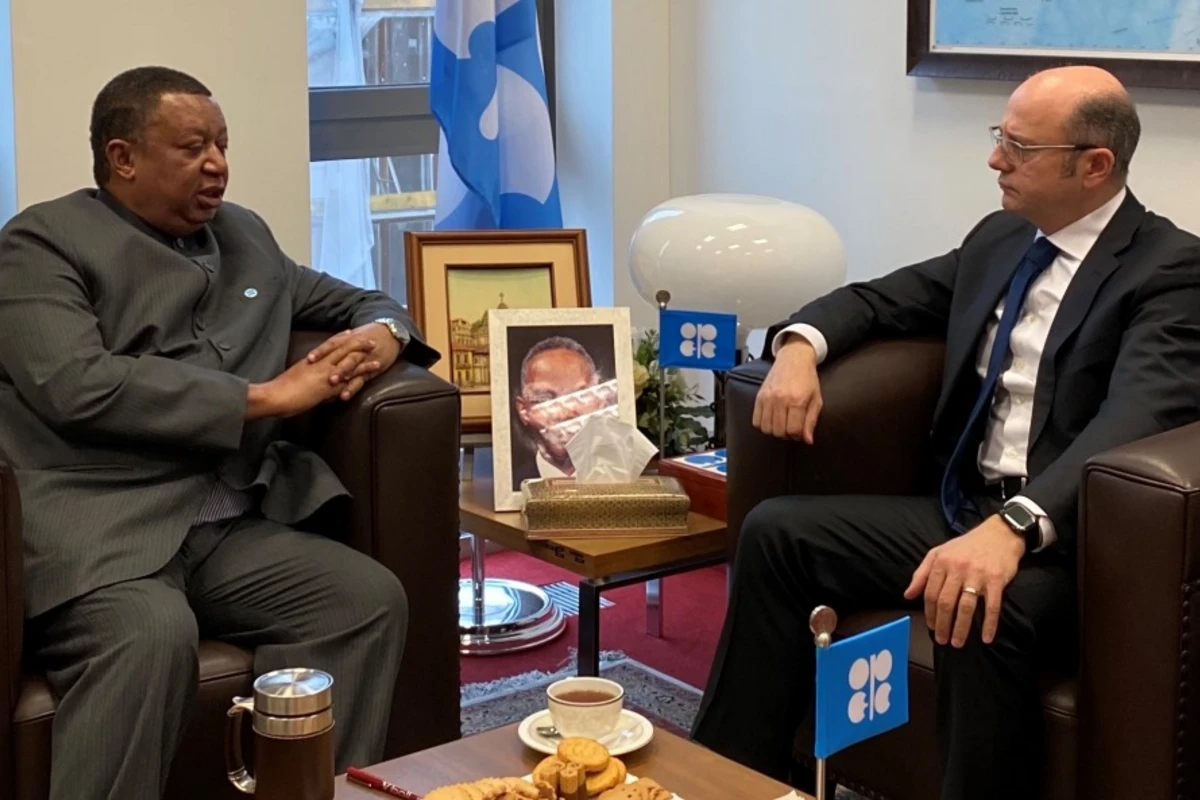Pərviz Şahbazov OPEC-in Baş katibi ilə görüşüb - FOTO Pərviz Şahbazov OPEC-in Baş katibi ilə görüşüb - FOTO