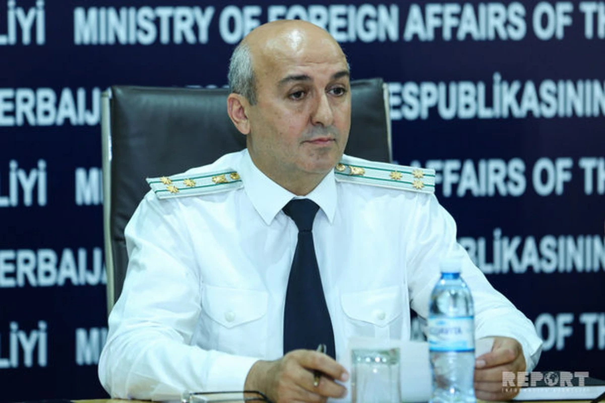 Eldar Sultanov: “Aysel Ələkbərzadə feminist hərəkatının qurbanıdır”