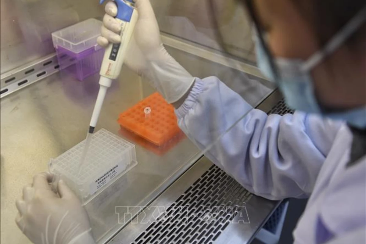 Azərbaycan koronavirusu müəyyənləşdirmək üçün test sistemi alır