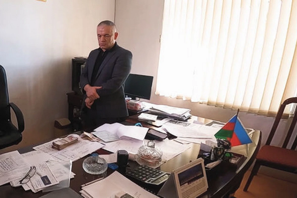 В Азербайджане обезврежена преступная группировка дровосеков - ФОТО/ВИДЕО