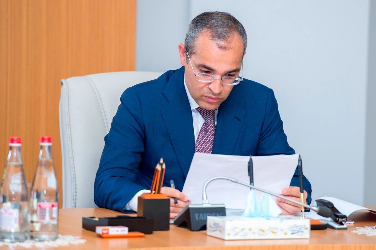 Mikayıl Cabbarov: “Ölkədə ərzaq təhlükəsizliyi təmin olunub” - VİDEO