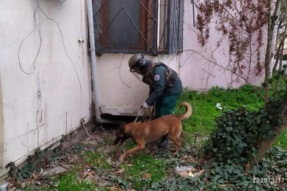 Bakının Xətai rayonunda əl qumbarası aşkar edilib - FOTO Bakının Xətai rayonunda əl qumbarası aşkar edilib - FOTO