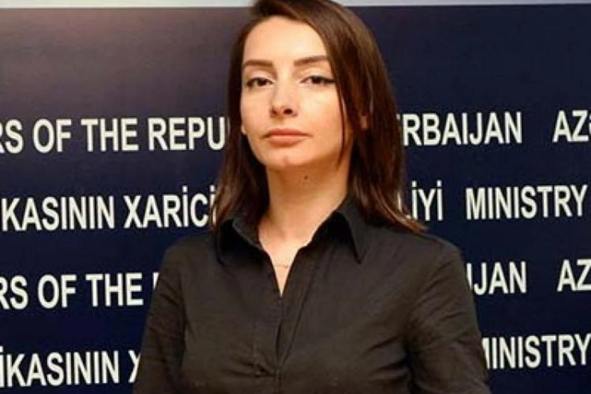 Лейла Абдуллаева: МИД Азербайджана собирает информацию о ситуации с коронавирусом за рубежом