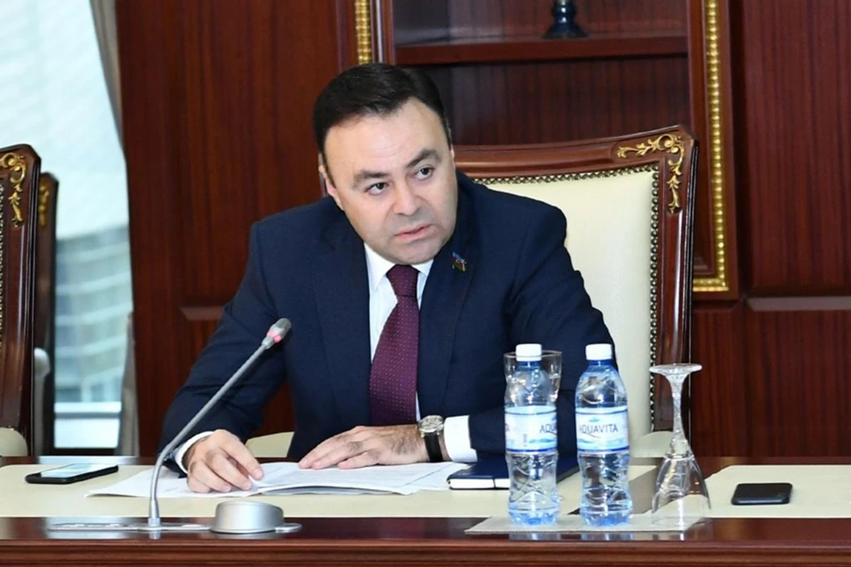 Elnur Allahverdiyev: “Ümummilli problemlərlə mübarizədə bir olmalıyıq!”