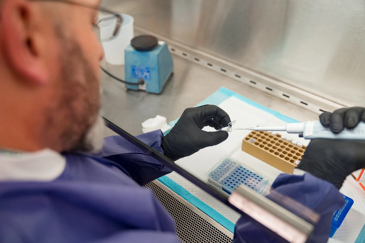 Rusiyadan Azərbaycana COVİD-19 üçün test gətirilib