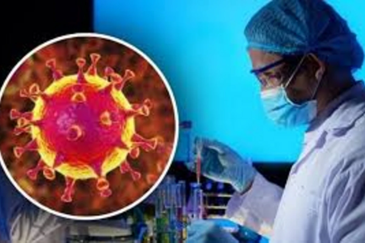 Заразность коронавируса меняется с его мутациями