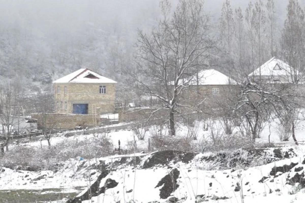 Qəbələyə 15 sm qar yağıb - FOTO