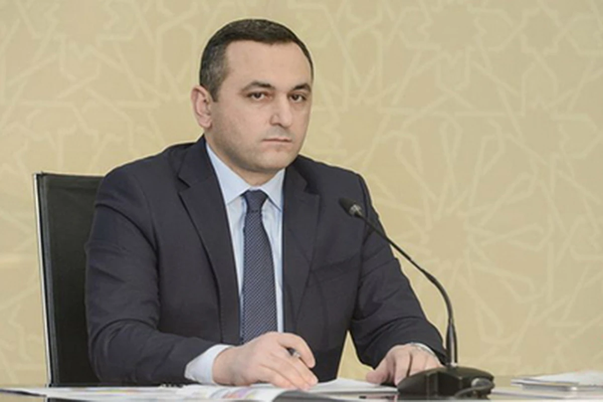 Глава Правления TƏBİB назвал количество проводимых ежесуточно тестов на COVID-19