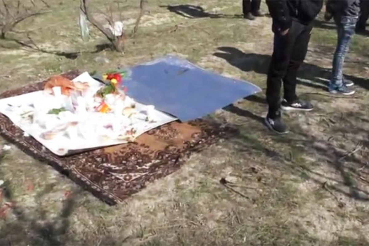 Piknik etmək istədilər, baha başa gəldi - VİDEO