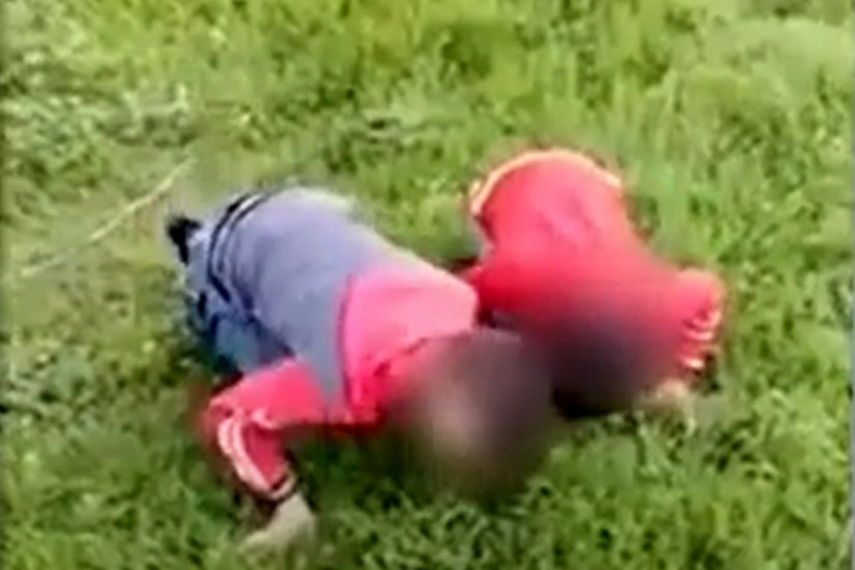 Uşaqları “otlamağa məcbur edib” videoya çəkən şəxs polisə gətirildi