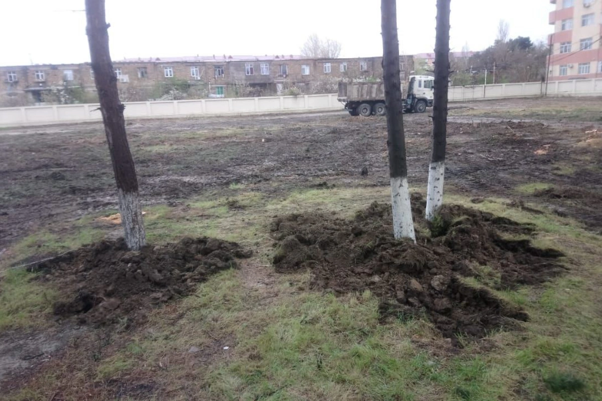 Sumqayıtda park direktoru 5 min manat cərimə edildi