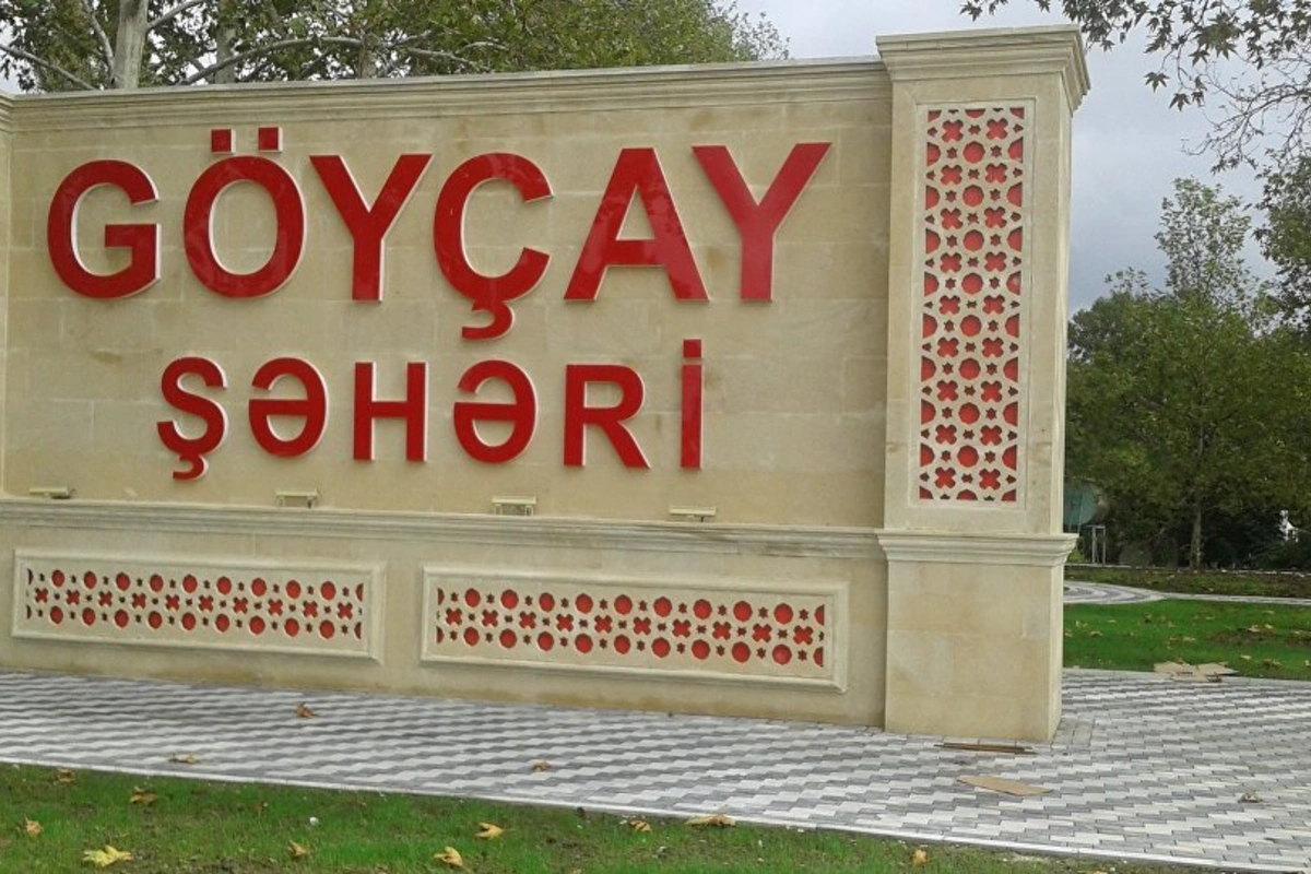 Göyçayda karantin rejimini pozan 2 nəfər həbs edilib - FOTO