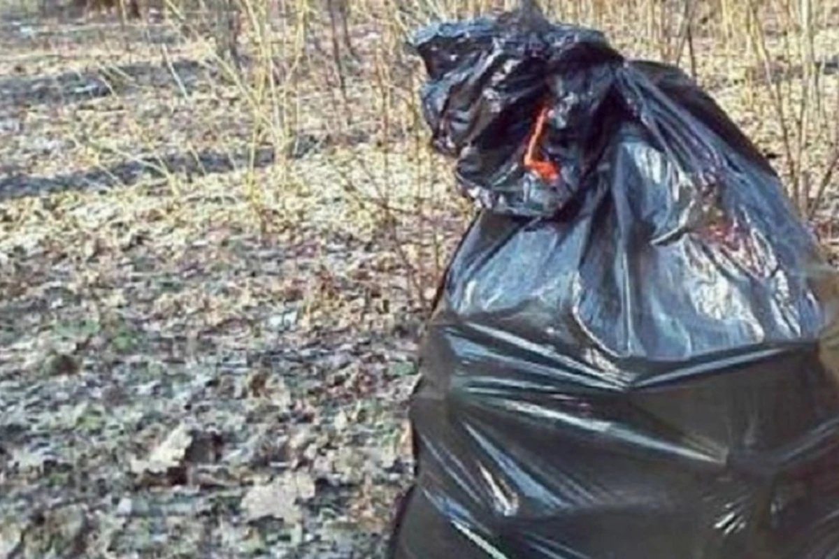 В доме 66-летнего россиянина нашли расчлененные тела - ФОТО