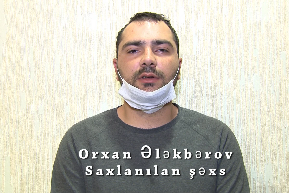 Saxta icazə arayışları satan şirkət rəhbəri saxlanıldı - VİDEO