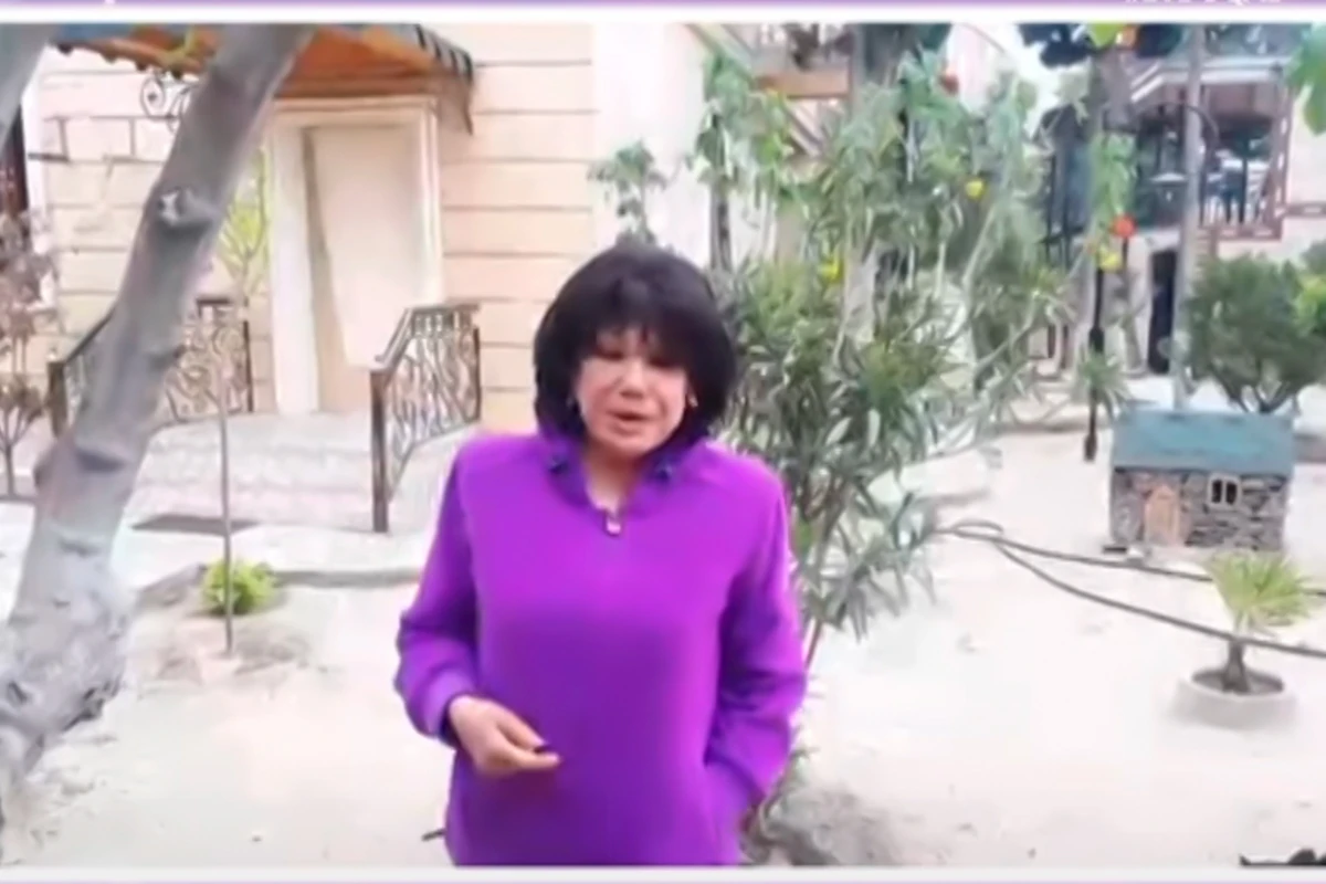 Flora Kərimovanın su quyusu və dəyirmanı olan bağ evi - VİDEO
