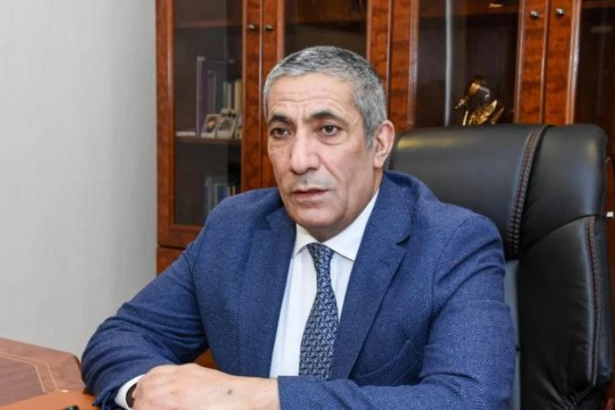 Сиявуш Новрузов: К ответственности необходимо привлечь руководителей правоохранительных органов районов, где арестованы главы ИВ