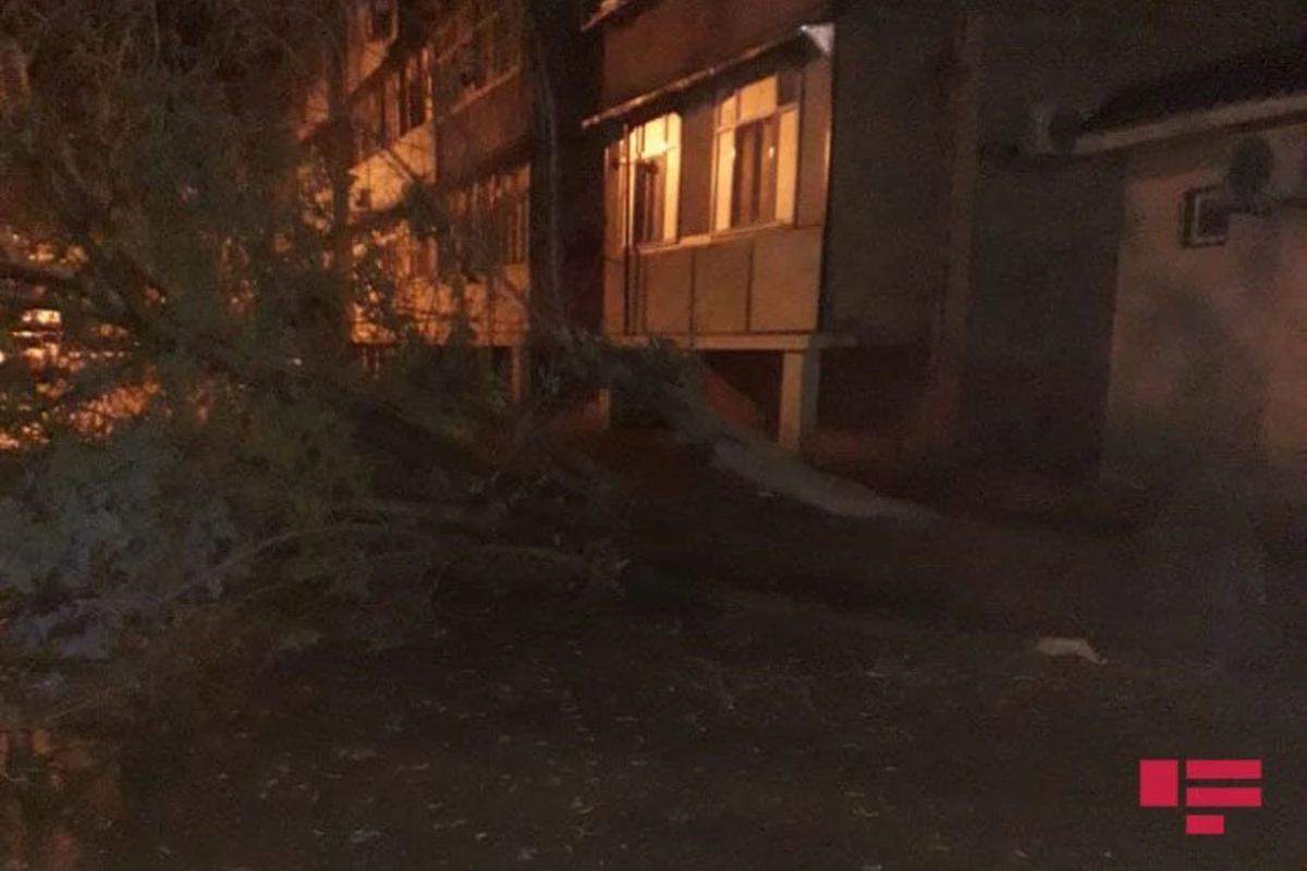 Külək Mingəçevirdə fəsadlara yol açıb - FOTO