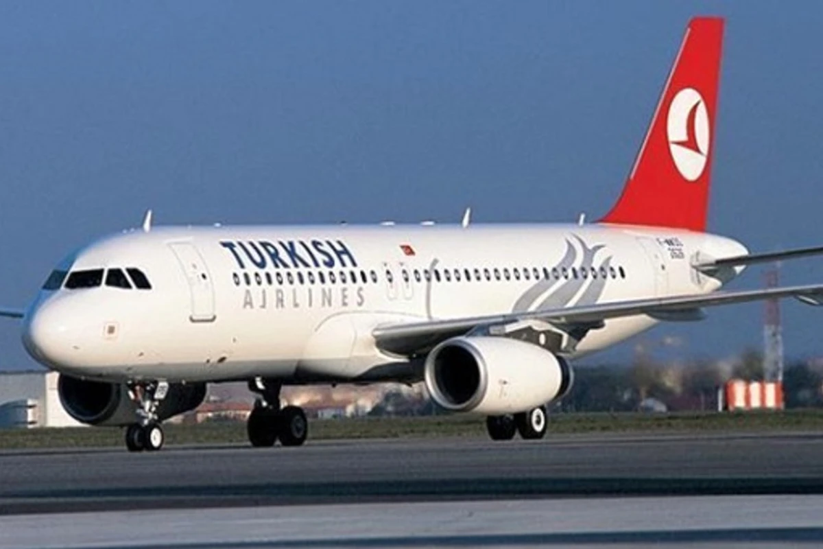 Bu heyvanların Türkiyəyə aparılmasına icazə verilməyəcək - YENİ QƏRAR