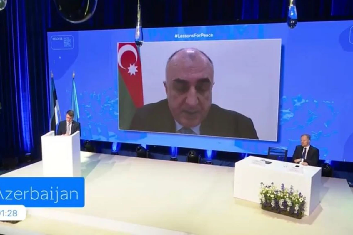 Elmar Məmmədyarov: Nasistlərin qəhrəmanlaşdırılmasından ciddi narahatıq - FOTO