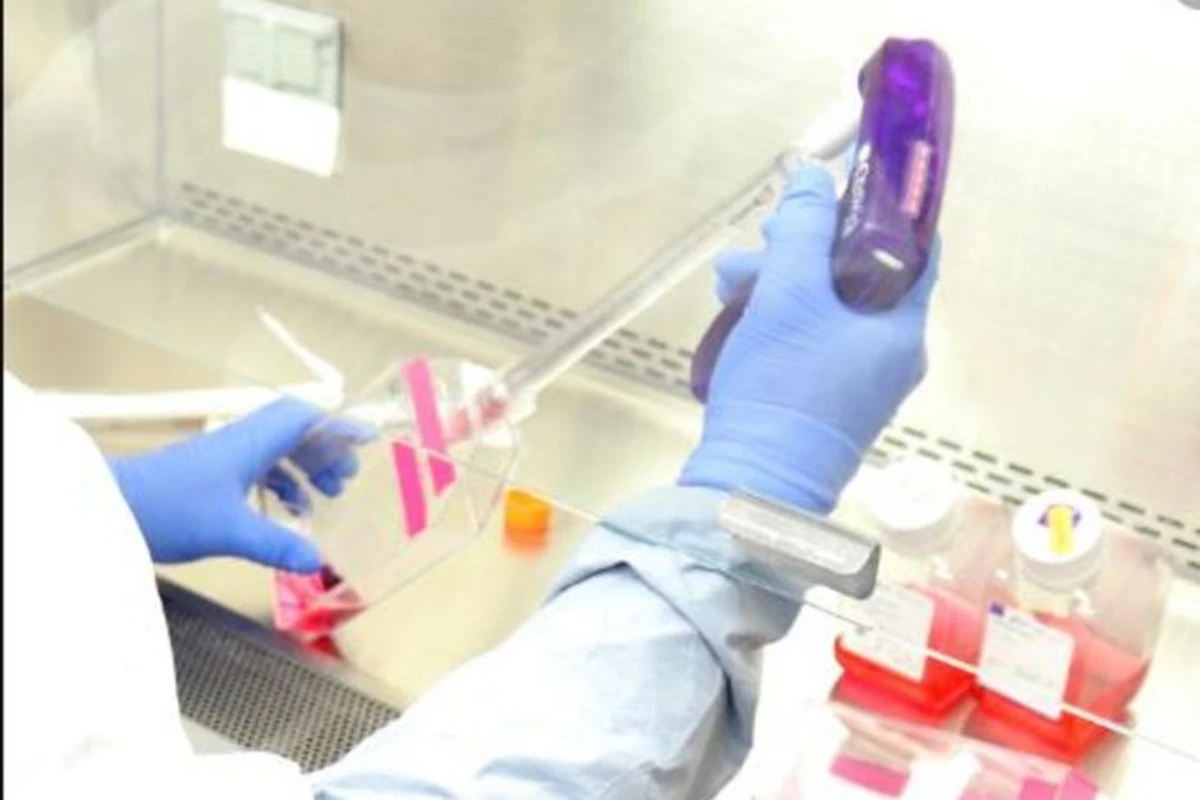 Bu gün Azərbaycanda 4134 nəfər koronavirus testindən keçib Bu gün Azərbaycanda 4134 nəfər koronavirus testindən keçib