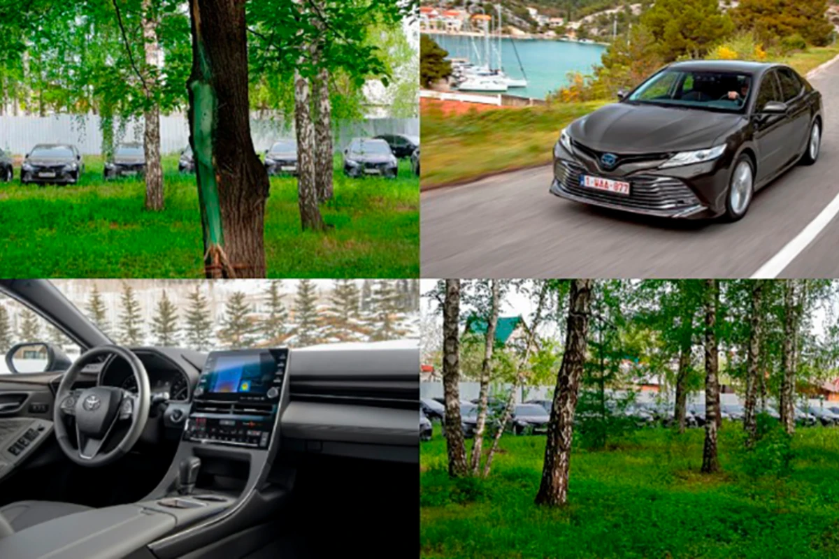 В лесу на Урале обнаружили десятки новых Toyota Camry - ВИДЕО
