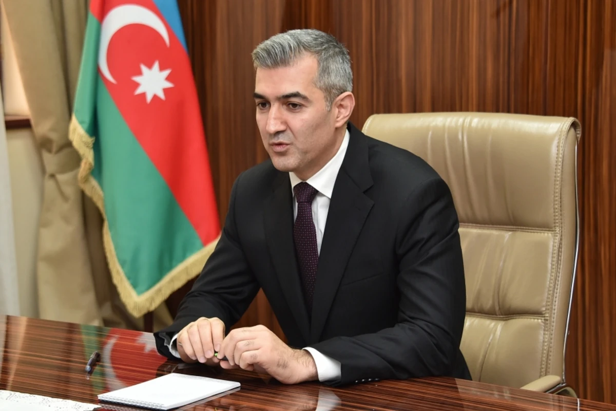 Pandemiya dövründə Dövlət Miqrasiya Xidmətinin fəaliyyəti - CANLI BAĞLANTI