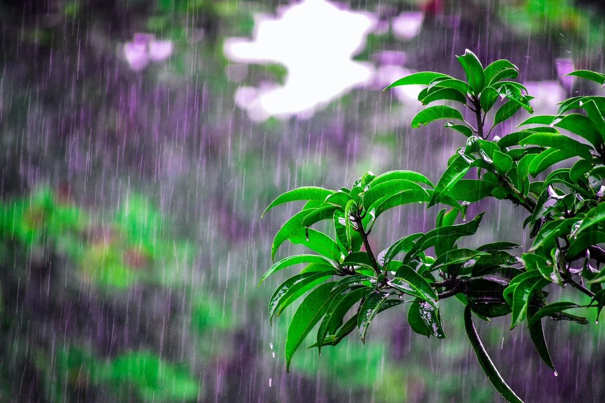 Faktiki hava şəraiti açıqlanıb Faktiki hava şəraiti açıqlanıb