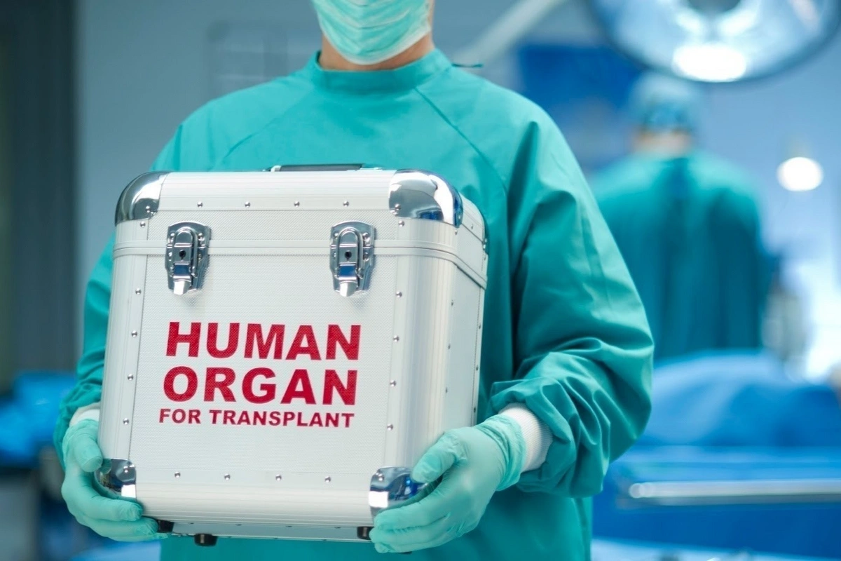 Azərbaycanda canlı donordan götürüləcək orqanlar müəyyənləşdi Azərbaycanda canlı donordan götürüləcək orqanlar müəyyənləşdi
