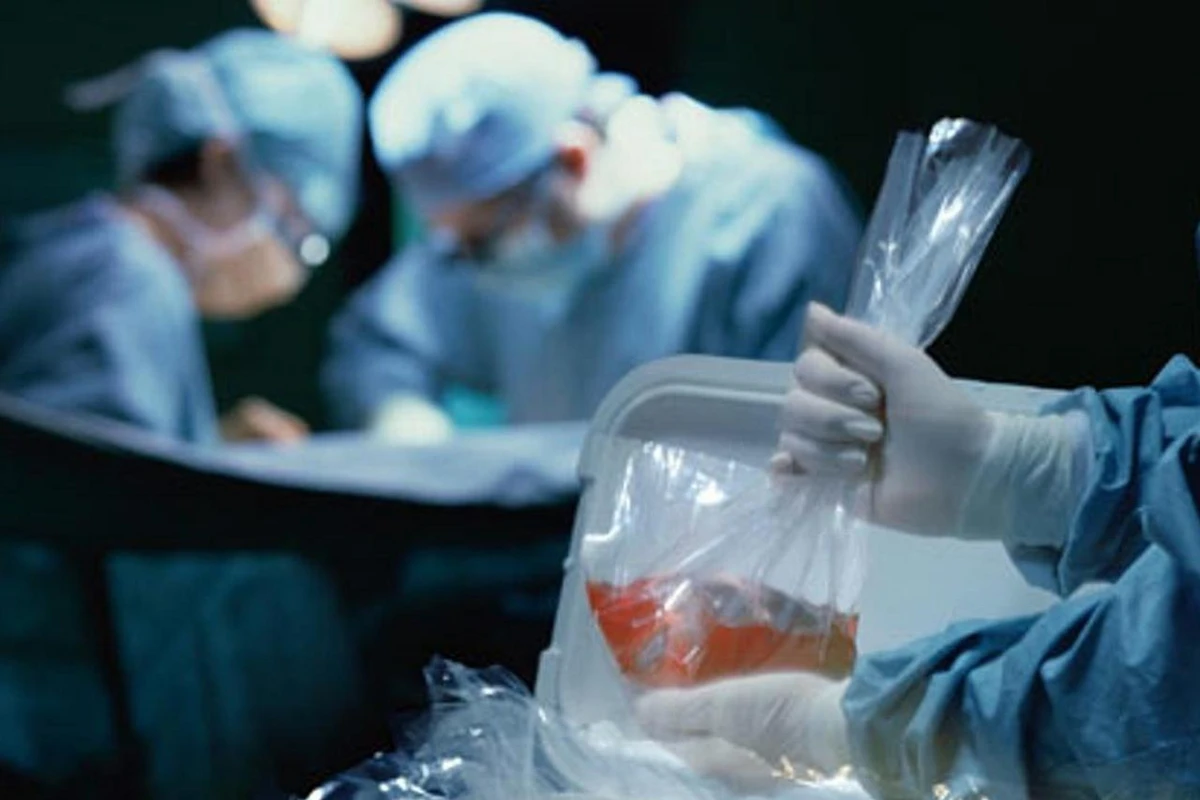Meyitdən bu orqan və hüceyrələr transplantasiya məqsədilə götürüləcək - SİYAHI Meyitdən bu orqan və hüceyrələr transplantasiya məqsədilə götürüləcək - SİYAHI
