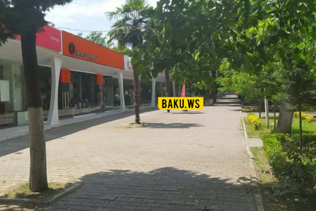 Lənkəranda kimsəsiz küçələr, boş yollar - Sükut günü - FOTO