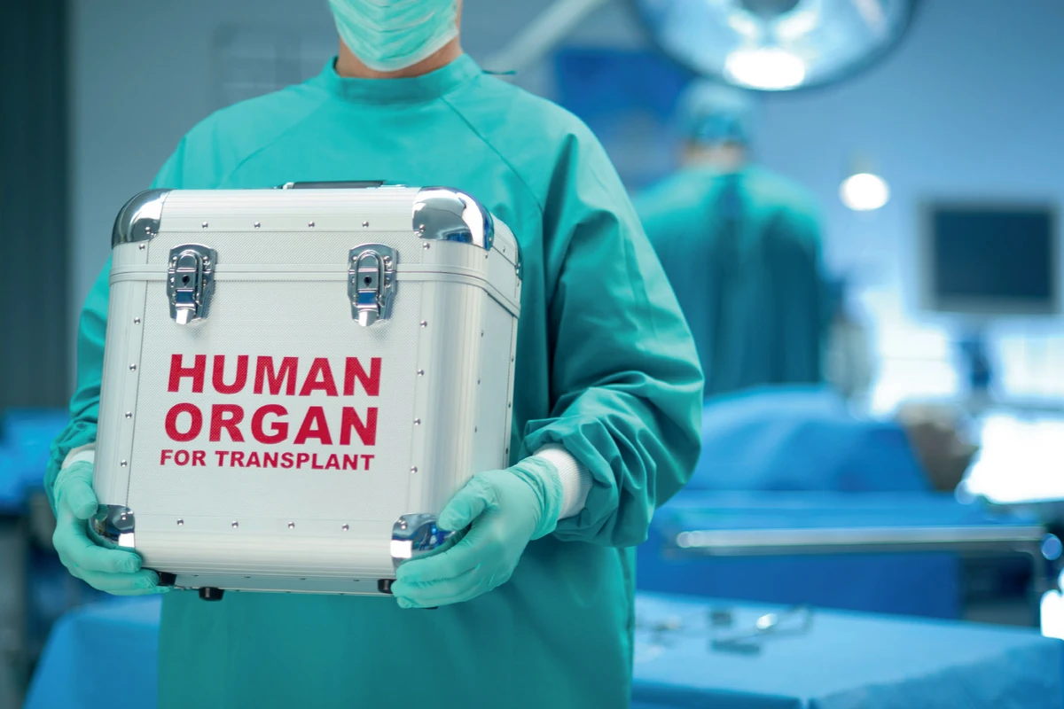 Ötən il Azərbaycanda 299 transplantasiya əməliyyatı keçirilib
