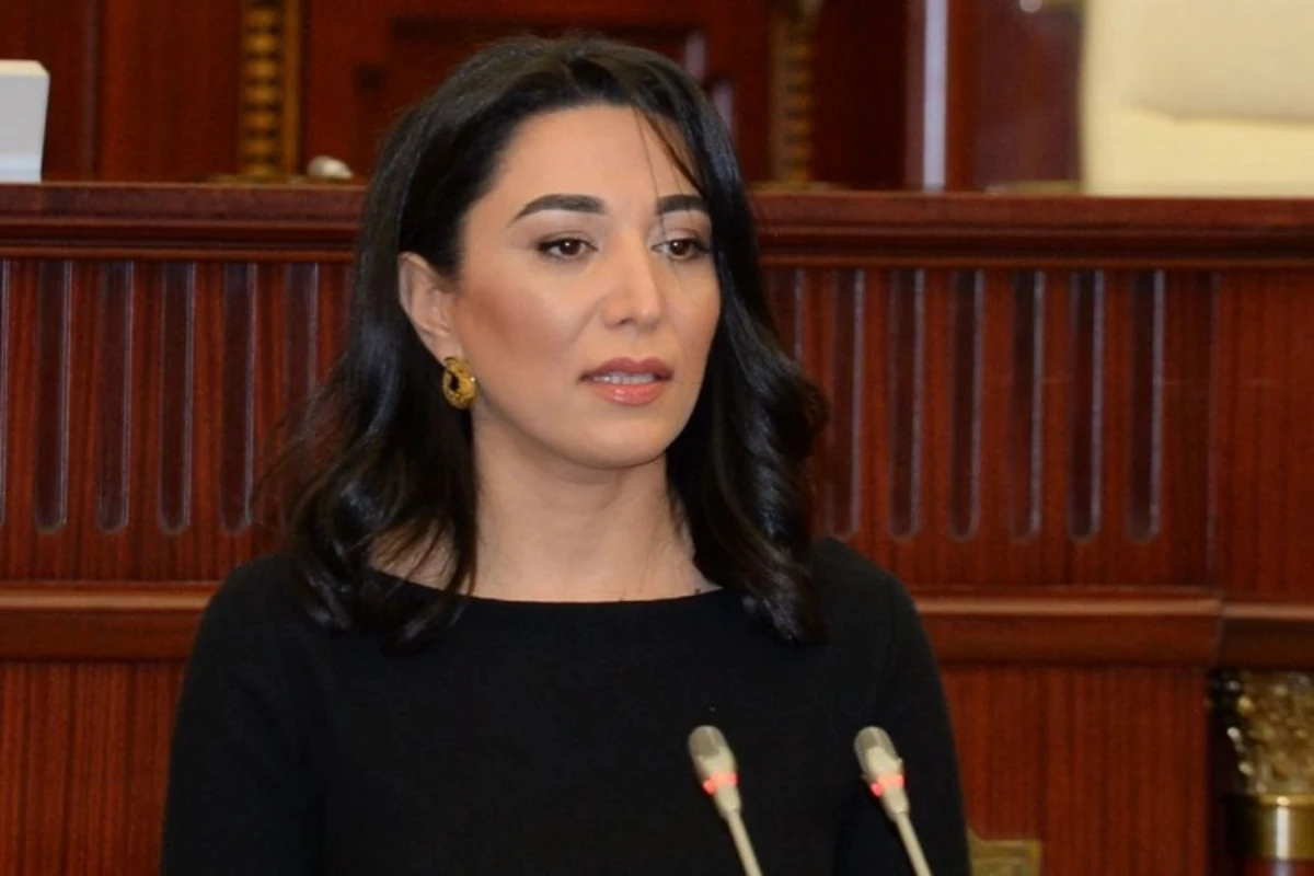 Ombudsman sosial şəbəkə istifadəçilərinə müraciət etdi
