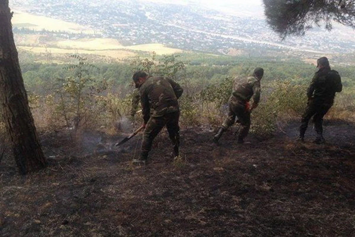На Агсуинском перевале начался пожар, к тушению привлечены вертолеты