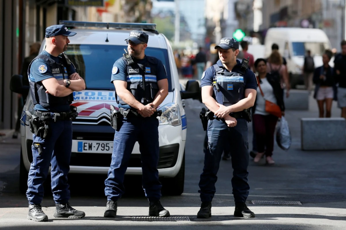 Во Франции полицейские поймали плюшевую пантеру