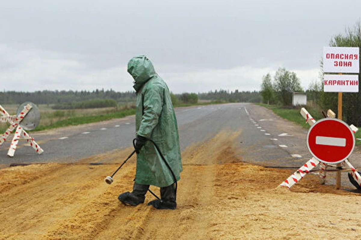 В России возможны случаи заражения черной смертью - Заявление Роспотребнадзора В России возможны случаи заражения черной смертью - Заявление Роспотребнадзора