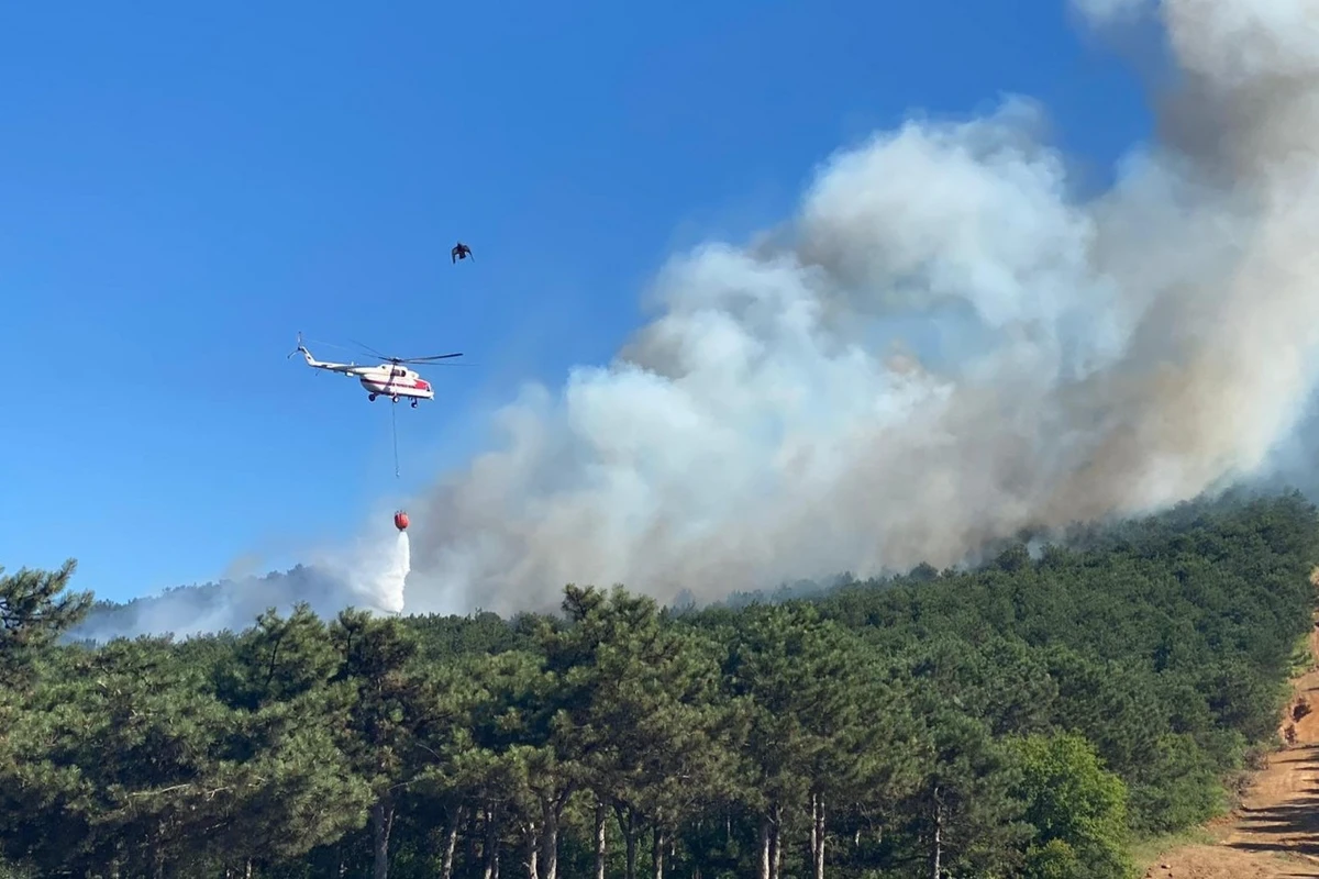 Qəbələdə dağlıq ərazidə yanğın başlayıb: Helikopterlər cəlb edildi